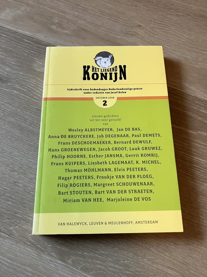 Liegend konijn 2008 nr2