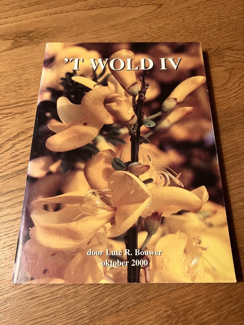 't Wold IV